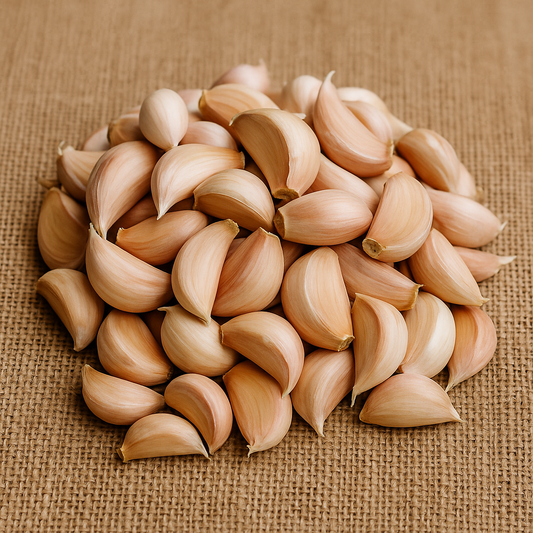 5 lb Elephant Garlic Seed – Bulk Garlic for Gardens & Farms